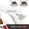 G128 2 PACK: California 4x6 Ft Double Sided Embroidered 210D Indoor/Outdoor, Brass Grommets, Heavy Duty Polyester, 3-ply